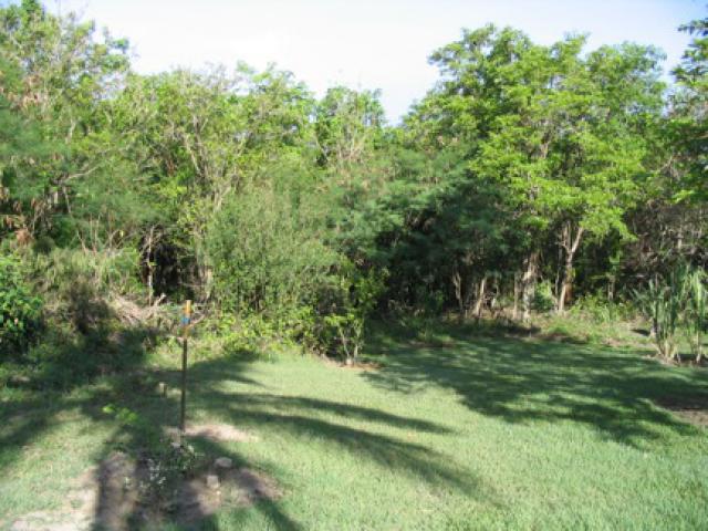 Vacant Lots II